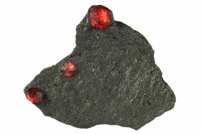 Plate of Three Red Embers Garnets in Graphite - Massachusetts #313453
